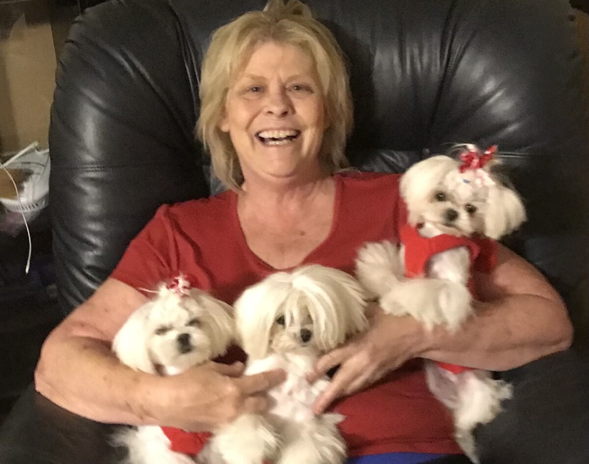 We sell beautiful, healthy puppies