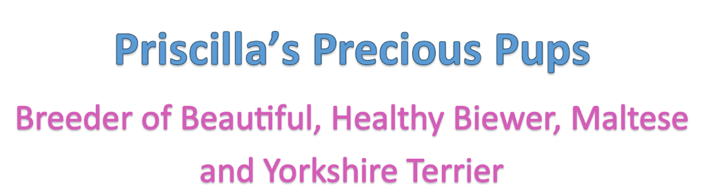 Priscilla's Precious Pups for sale