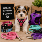 dog and pup collars harnesses and leashes  product recommendations