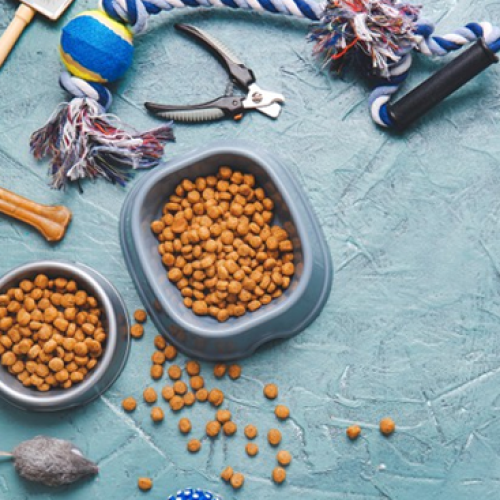 What is the best food for my dog or pup?